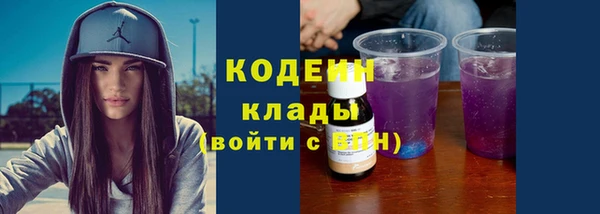 шишки Мегион