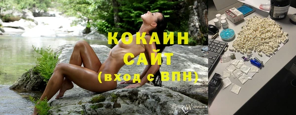 шишки Мегион