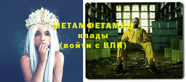 шишки Мегион