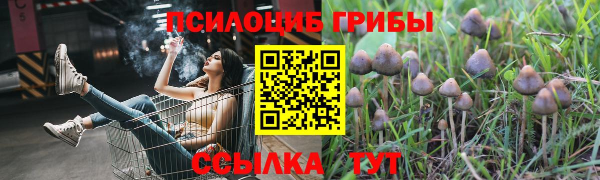 Галлюциногенные грибы MAGIC MUSHROOMS  Вход с VPN  Лиски 